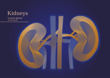 Soyut böbrekler koyu arka plan üzerinde gösterimi