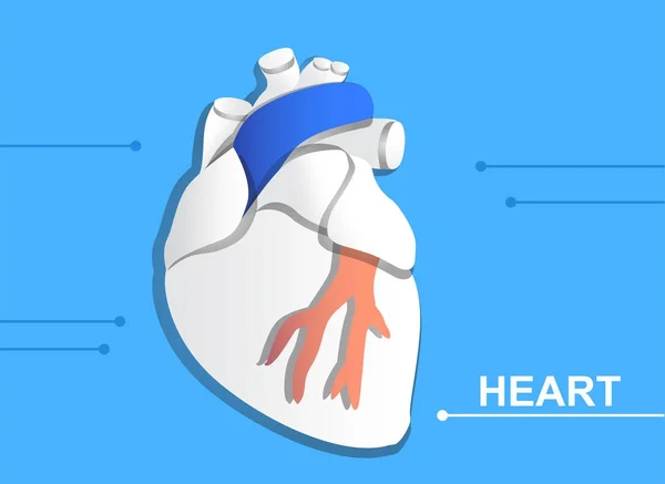 Ilustrace ze srdce v vrstev papíru — Stockový vektor