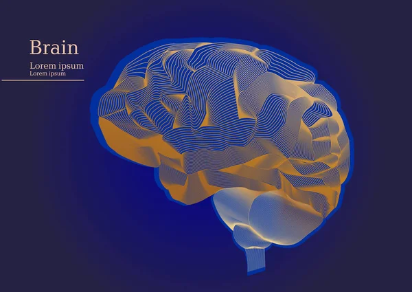 Abstract illustration of human anatomical brain on dark background — Stock Vector