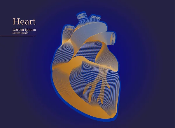 어두운 배경에 인간의 해 부 심장의 추상 그림 — 스톡 벡터
