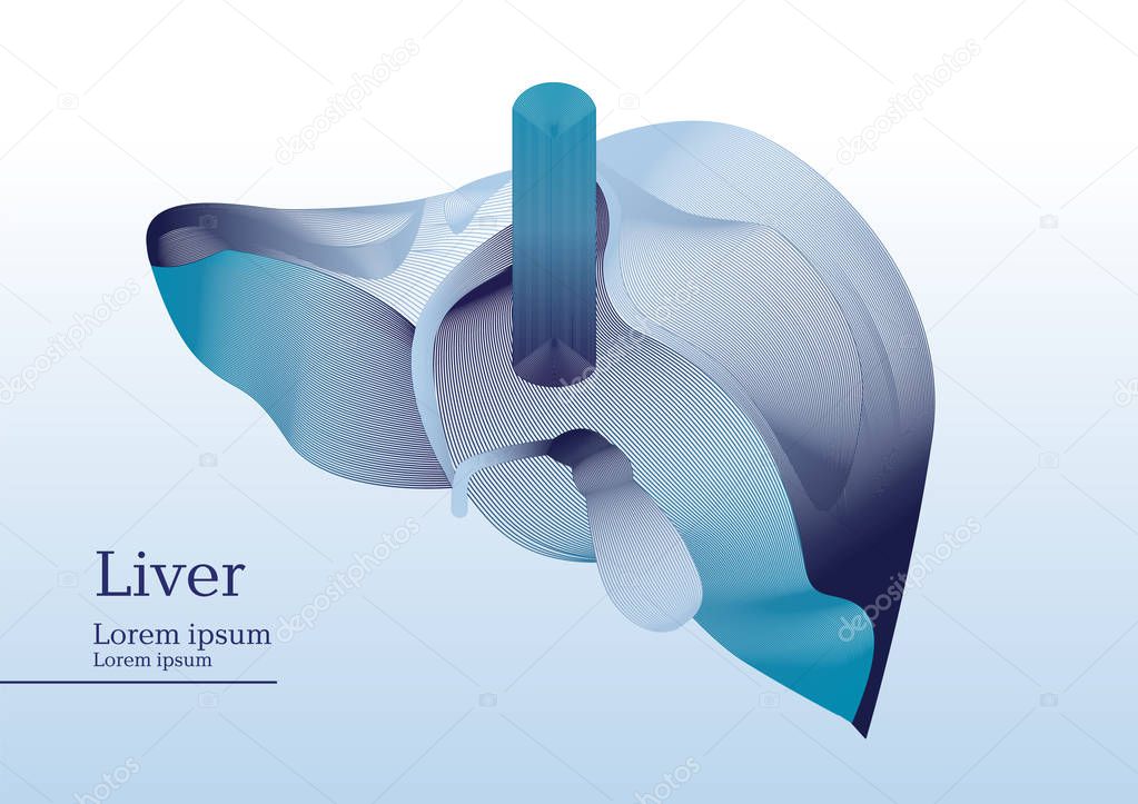 Abstract illustration of liver section
