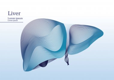 Karaciğer soyut gösteren resim