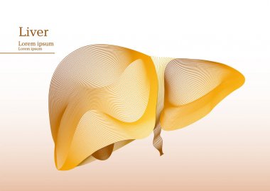 Mide soyut sarı çizimi