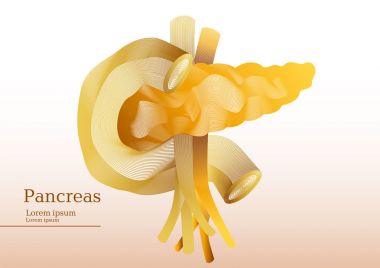 Pankreas soyut sarı çizimi