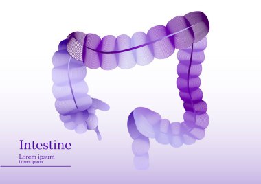 Bağırsak Lila illüstrasyon soyut