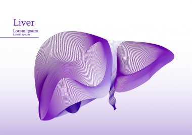 Karaciğer soyut lila çizimi