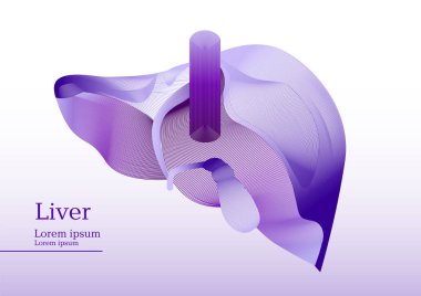 Karaciğer bölümün soyut lila çizim