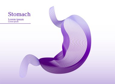 Mide soyut lila çizimi