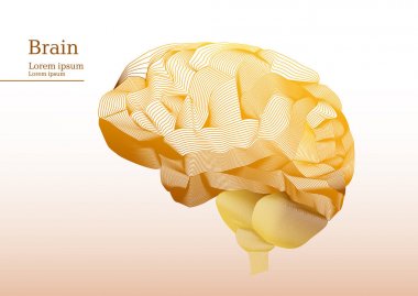 Anatomik insan beyninin soyut sarı illüstrasyon