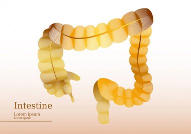 Bağırsak soyut sarı illüstrasyon