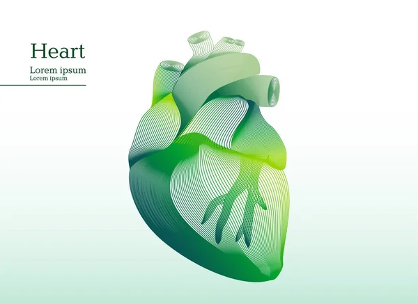 抽象的绿色插图的心 — 图库矢量图片