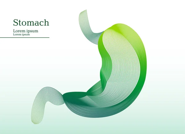 抽象的绿色插图的胃 — 图库矢量图片