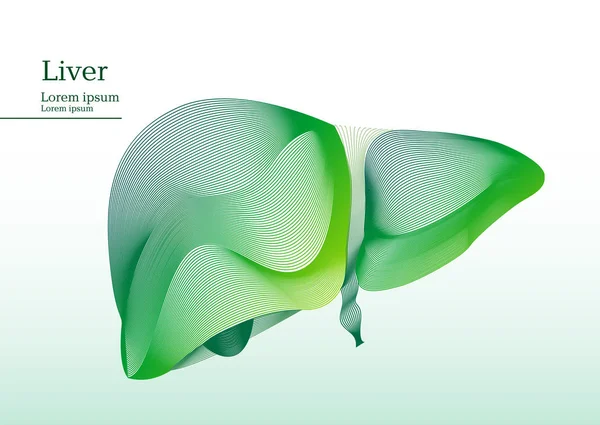 Ilustración verde abstracta del hígado — Archivo Imágenes Vectoriales