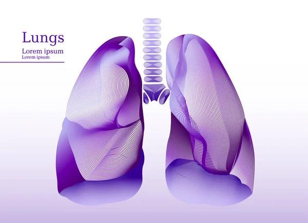 Ilustração abstrata dos pulmões de lila — Vetor de Stock