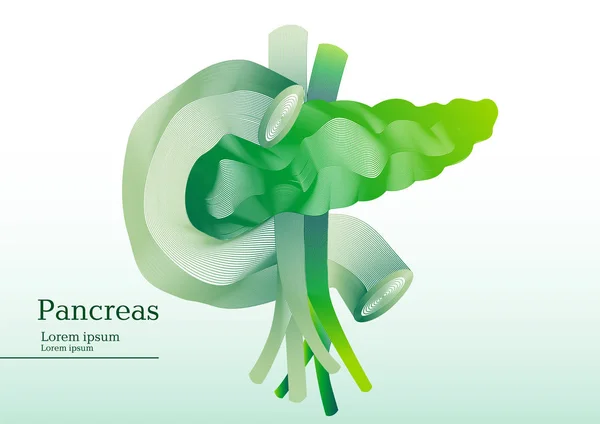 Abstrakt grön illustration av bukspottkörteln — Stock vektor