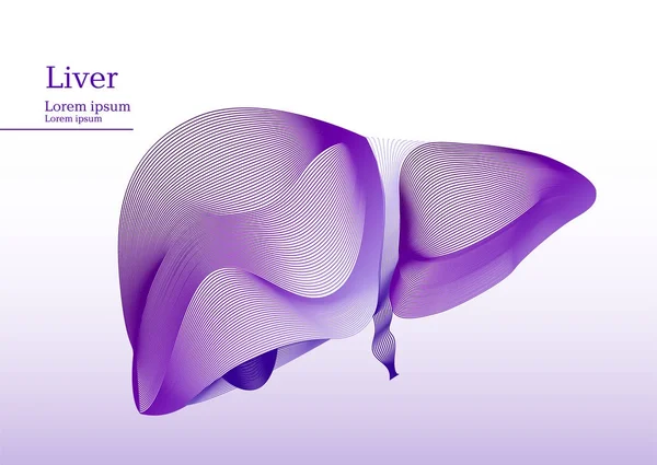 抽象的 lila 插图的肝脏 — 图库矢量图片