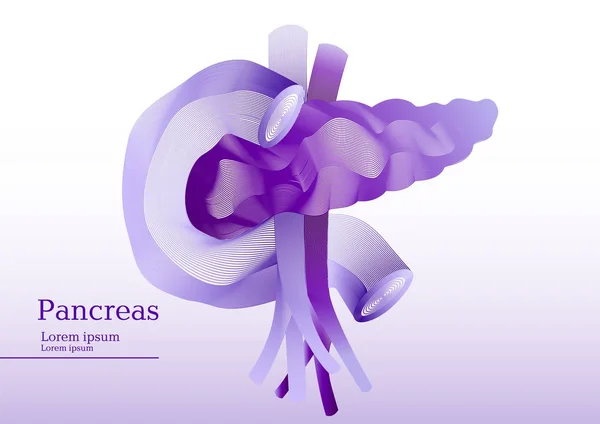 Pankreas soyut lila çizimi — Stok Vektör