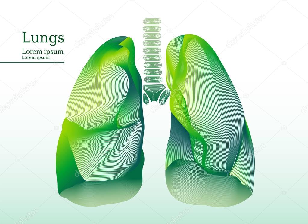 Abstract illustration of green lungs