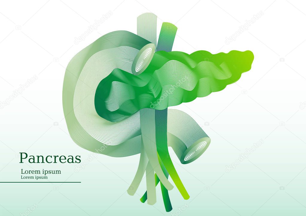 Abstract green illustration of pancreas