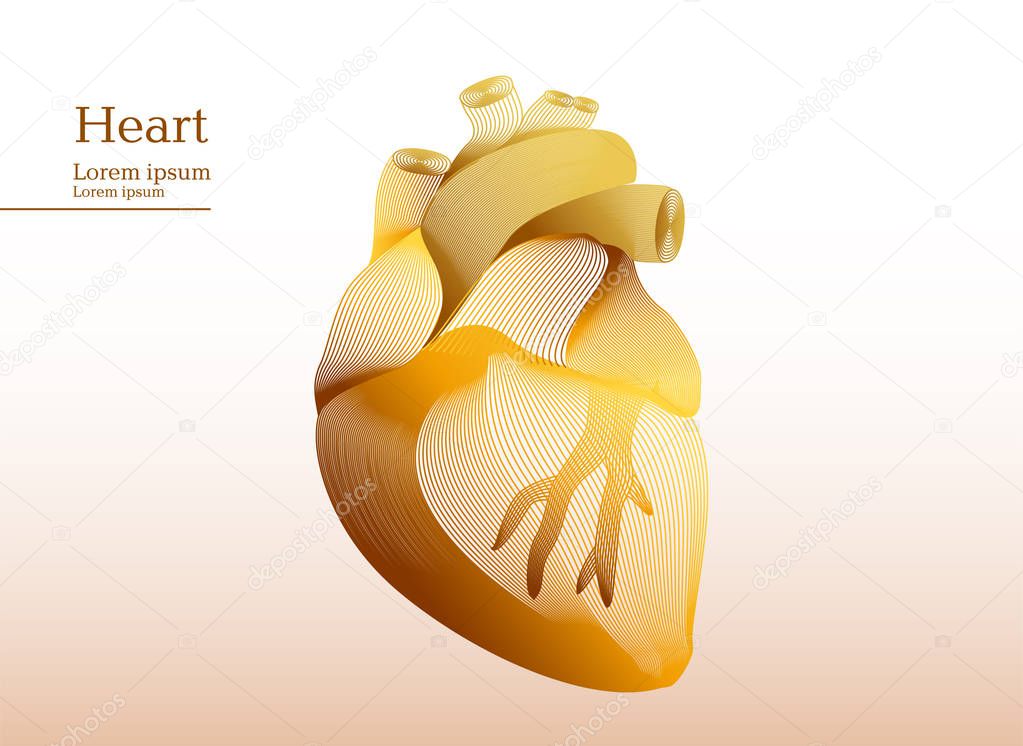 Abstract yellow illustration of anatomical human heart
