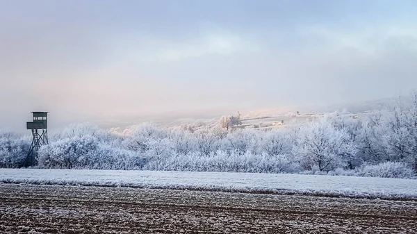 Sisli karlı kış büyülü manzara orman günbatımı sırasında bir watchpost ile bir alanda