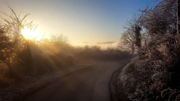 Волшебный пейзаж туманной зимы на дороге между деревьями с солнечными лучами гор — стоковое фото