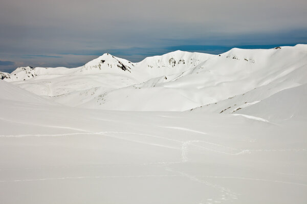  Горы Камчатки и следы камчатского медведя
