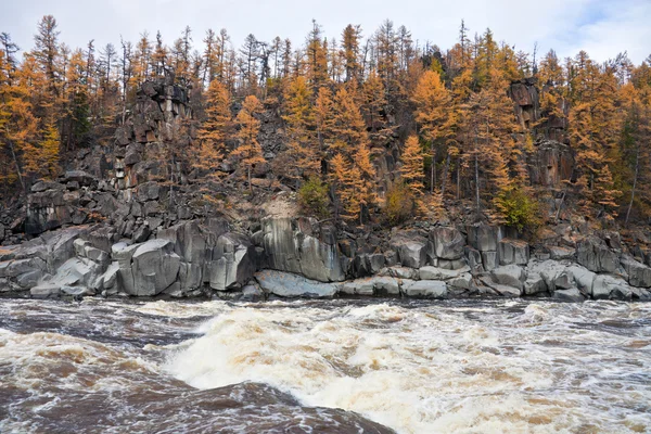 在秋天的西伯利亚针叶林河畔的岩石海岸. — 图库照片
