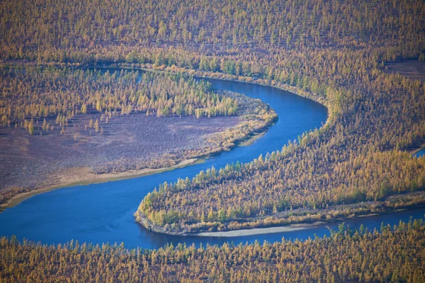 Siberische rivier en lariks taiga in de herfst — Stockfoto