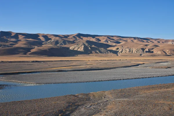 Alpské louky podél řeky v Tien Shan. — Stock fotografie