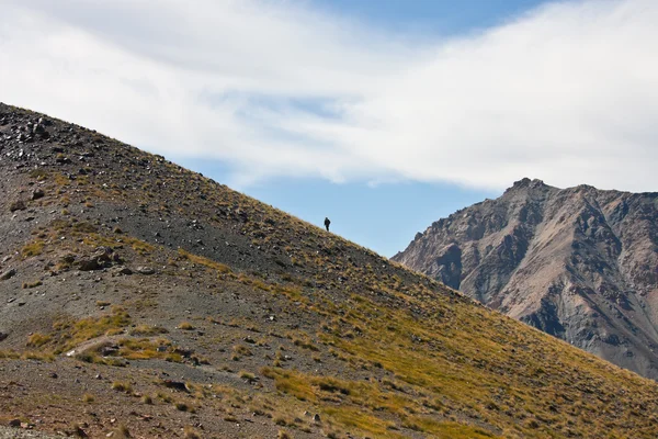 猎人走在天山山的山坡上 — 图库照片