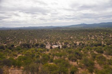 Funda savana Limpopo'deki/daki oteller arazide görünümünü