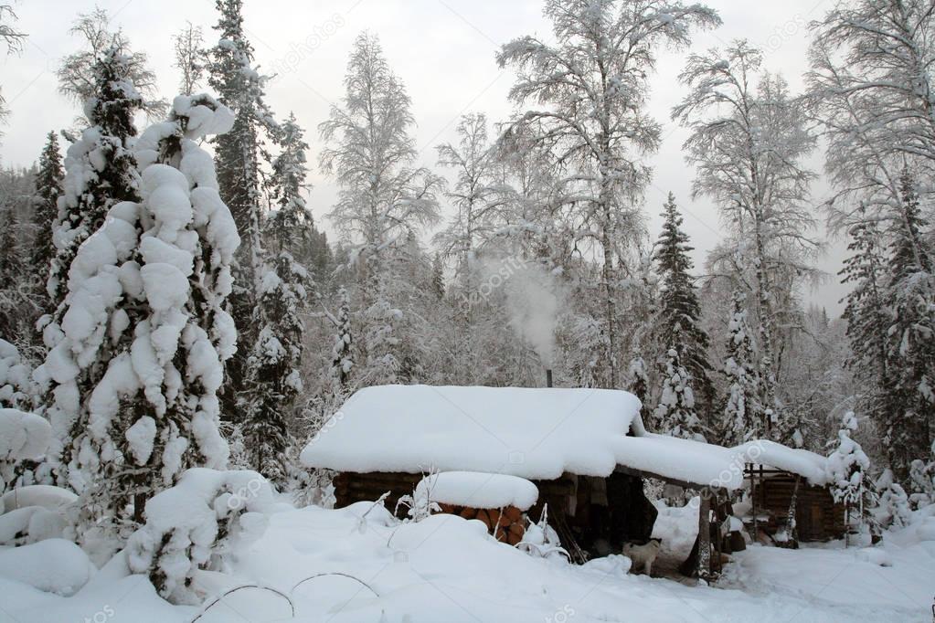 Hut of the hunter in the Siberian taiga