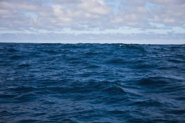 Sabah gökyüzü bulutlu ve Atlantik okyanus dalgaları