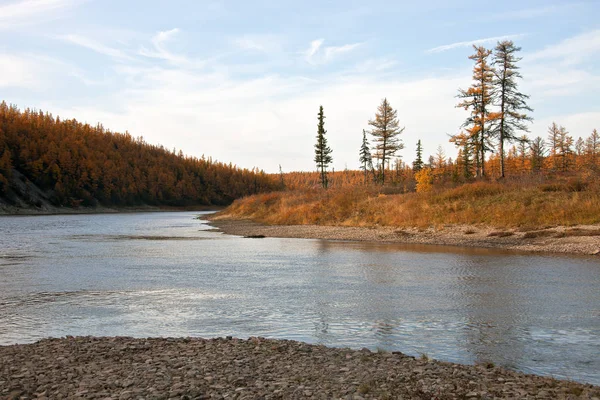 Herfst landschap op de taiga van de rivier in Siberië — Stockfoto