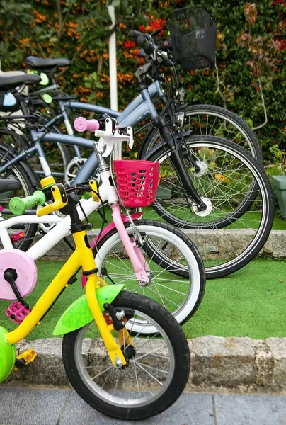 Kerékpárok a családi parkolóban. — Stock Fotó