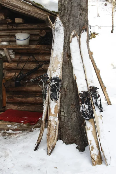 西伯利亚狩猎滑雪板和武器的墙壁冬季宿舍在针叶林 在冬天的森林里 三对滑雪板站在一座房子的圆木墙边 滑雪板上的皮肤都是野鸭脚上的皮 — 图库照片
