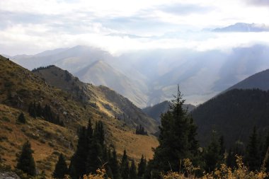 Asya 'daki dağ taygasında sonbahar manzarası. Tien Shan 'ın eteklerindeki dağ ladin ormanları ve çayırları. 