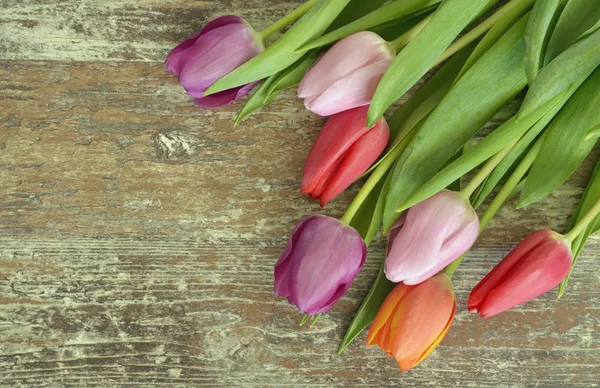 Fond en bois gris vide avec des tulipes printanières fraîches et colorées. Tulipes orange, rouge, rose et violette . — Photo