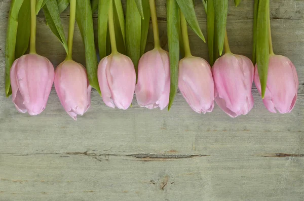 Legno grigio spazio vuoto copia sfondo con tulipani freschi rosa primavera . — Foto Stock