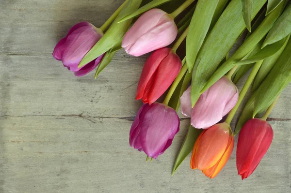 Sfondo in legno grigio spazio vuoto copia con freschi tulipani primaverili colorati. Tulipani arancioni, rossi, rosa e viola . — Foto Stock
