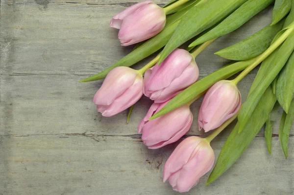 Legno grigio spazio vuoto copia sfondo con tulipani freschi rosa primavera . — Foto Stock