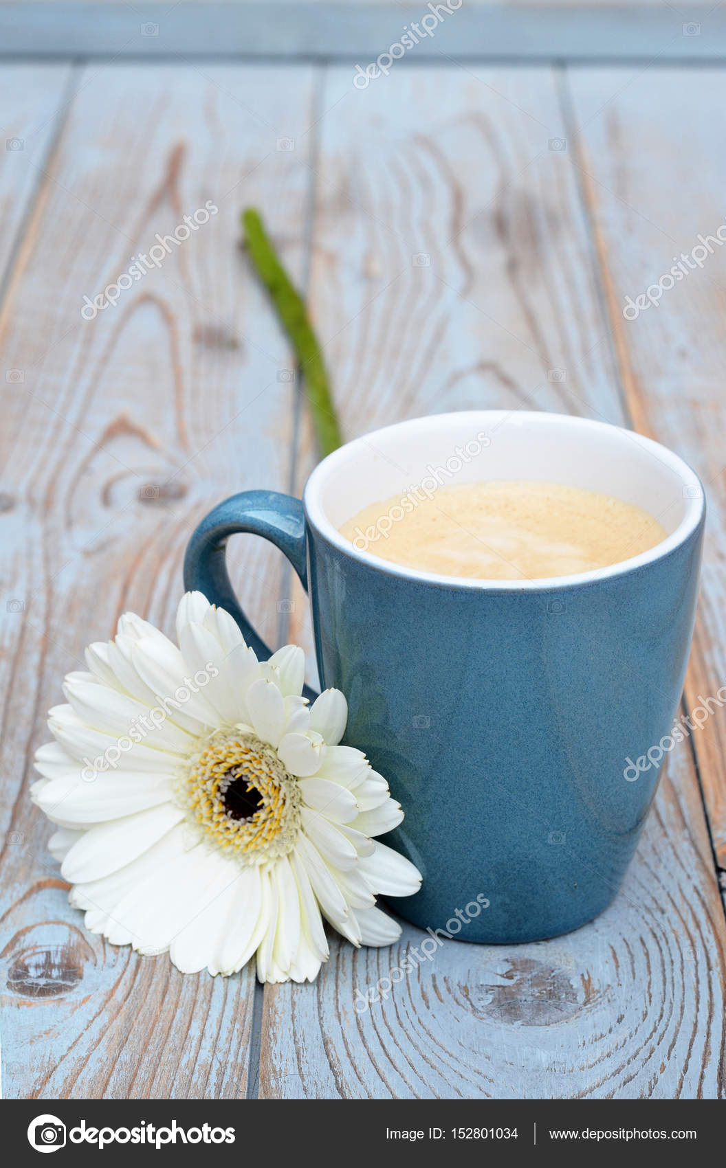 Cup Of Coffee In A Blue Mug On A Old Used Grey Wooden Background With A White Gerber Daisy Decoration Stock Photo Image By Trinetuzun 152801034