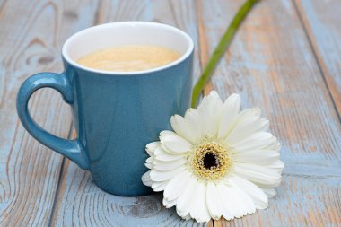 Eski kullanılan gri ahşap arka plan üzerinde beyaz Gerber daisy dekorasyonu ile mavi bir kupa kahve