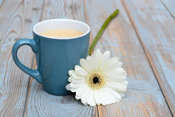 Cup of coffee in a blue mug on a old used grey wooden background with a white Gerber daisy decoration — Stock Photo, Image