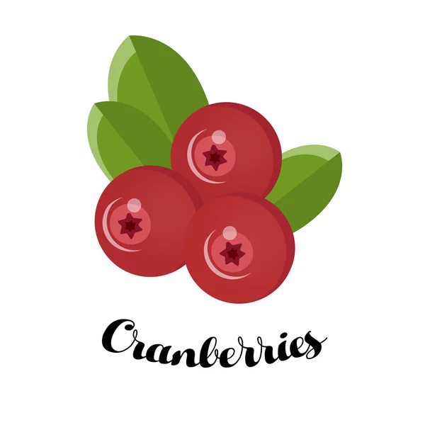 Cranberries com folhas —  Vetores de Stock