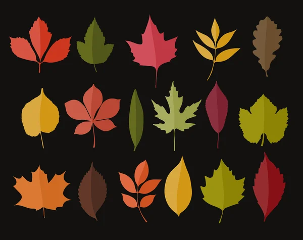 Set of isolated autumn colored leaves  i — Stock Vector