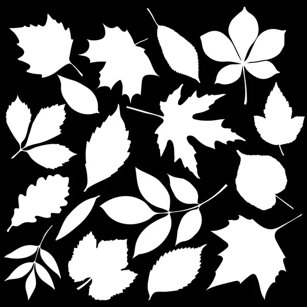 Conjunto de hojas de otoño aisladas — Vector de stock
