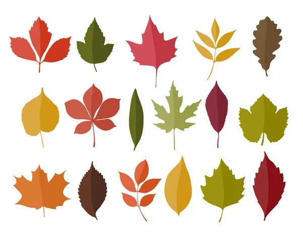 Conjunto de hojas aisladas de color otoño — Vector de stock