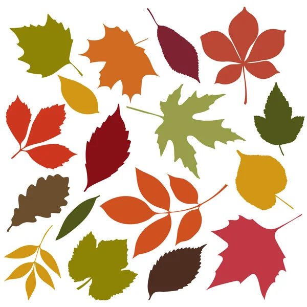 Набор изолированных осенних цветных листьев — стоковый вектор